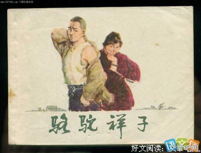 死者经典读后感有感