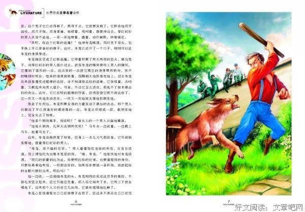 《白牙》读后感精选