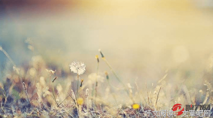 《她·依旧》的读后感大全