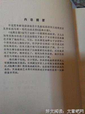 《远离尘嚣》读后感精选