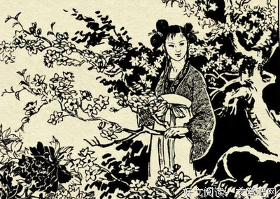 使女的故事读后感精选
