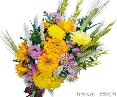 我的醉爱。名句欣赏