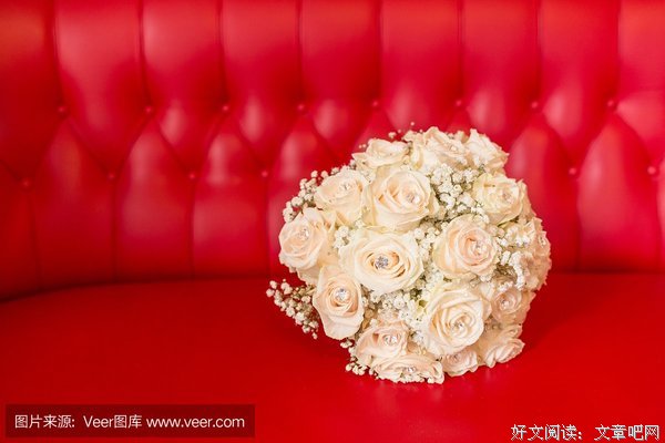 《女傧相》经典观后感集