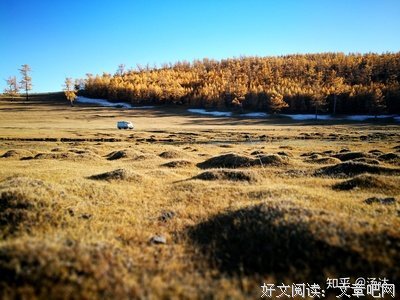 《宛如幻像》的影评大全