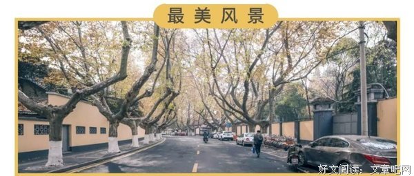 《最美》影评100字