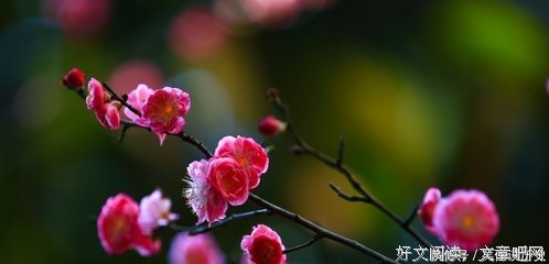 心满意足的名人名言