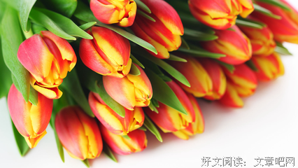 关于很难说的语句