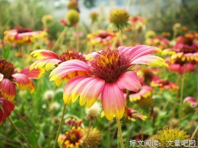 15条关于一丝不苟的经典语句