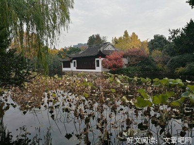 坏消息传来！转告父母：2021年起，取消60岁以上老年卡？