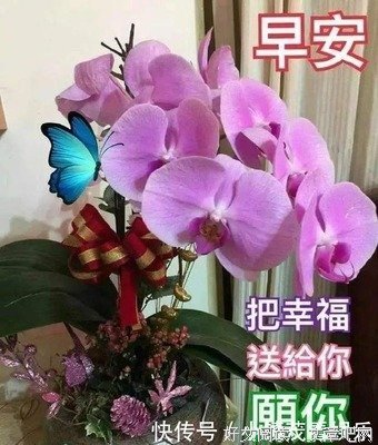 世间文字，不外如是的句子