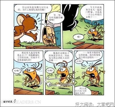 小猫出生在秘密山洞读后感100字