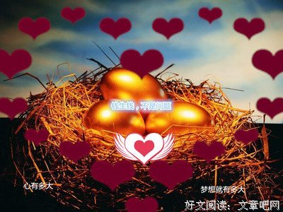 《投资的头号法则》的读后感大全