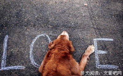 我所热爱的众生相优美的句子