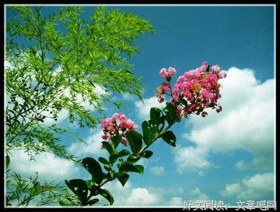 活着就要开心好词好句
