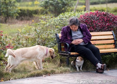 《老人与狗》观后感精选
