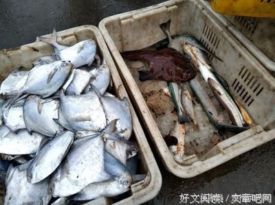 《暴风前夕》的影评大全