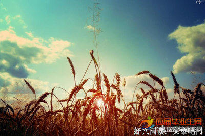 关于难以忍受名言名句