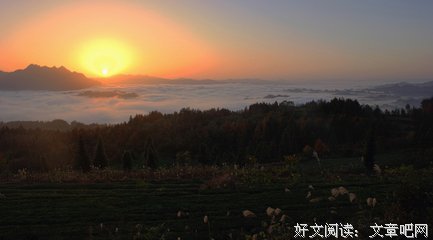 良辰美景的句子