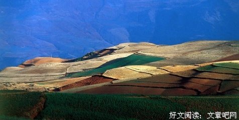 数不胜数的语句摘抄_关于数不胜数的语句