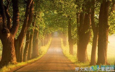 唯美诗句