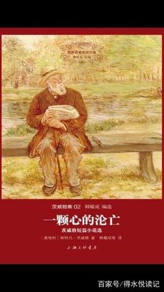 《一颗心的沦亡》读后感摘抄
