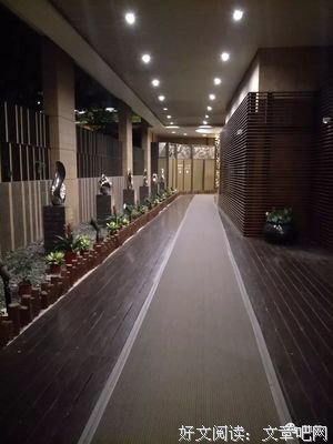 离歌（Ⅰ）读后感1000字
