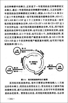 阶层是会遗传的读后感精选