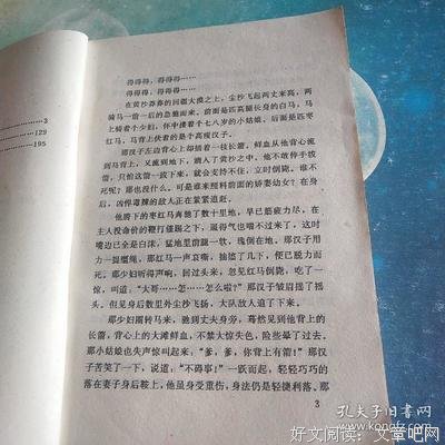 白马啸西风读后感100字