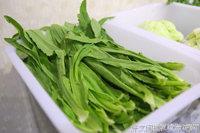 《北京娃娃》读后感摘抄