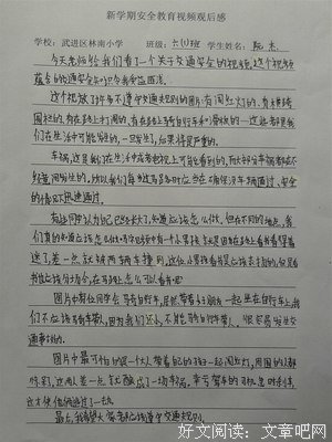 《受监护的女人》的观后感大全