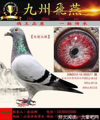 《天使之眼》的影评大全