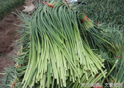 《小人物：毕业了我们一年们起好所有2》经典语录大全