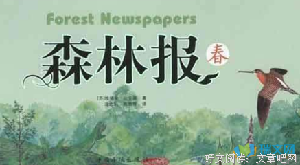 森林里的秘密读后感1000字