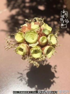 有关初夏暖心句集的句子