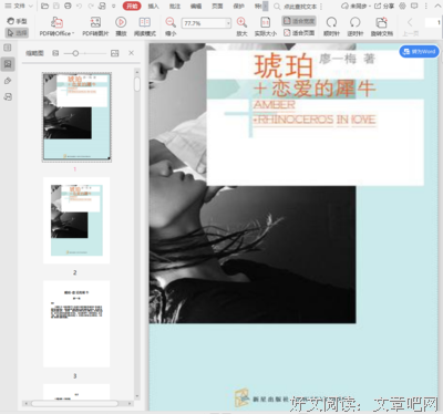 《琥珀·恋爱的犀牛》读后感锦集