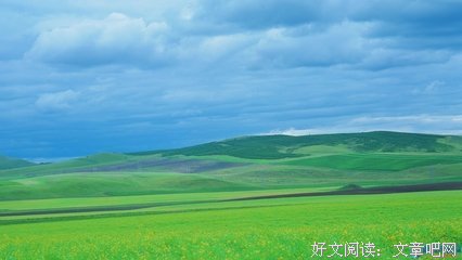 《包在纸里的火》读后感精选