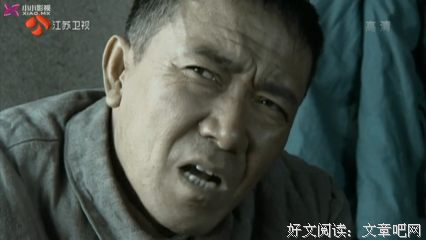 中国骑兵读后感1000字