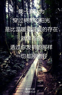 离来后种说为可外打真打真想人的99封情书名言大全