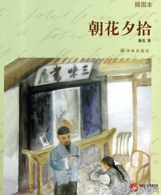 特别的猫的读后感大全