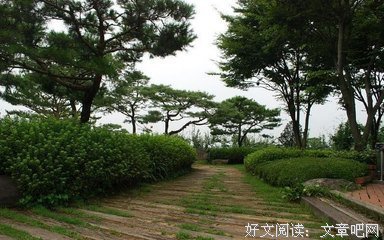 关于酱缸的优美句子