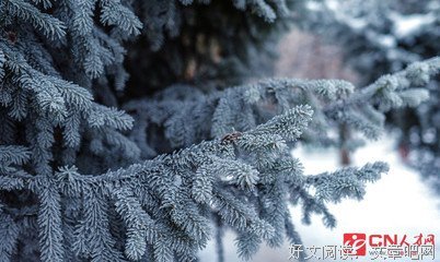 关于名句的优美句子