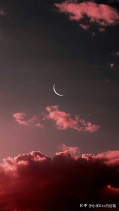 《旅途罢。》的句子