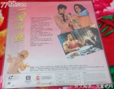《一屋两妻》好看吗？经典影评锦集