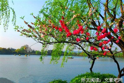 有关惊涛骇浪的美句摘抄