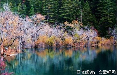 伤心经典的句子