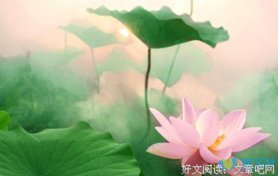 人生啊好词好句