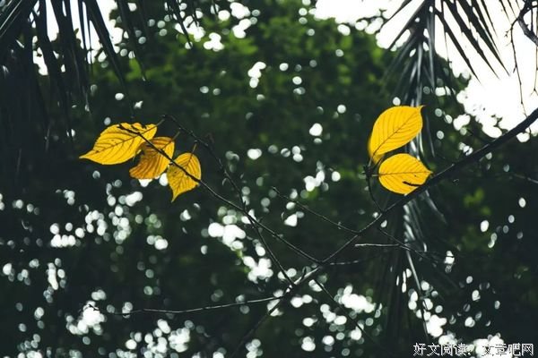 《黄帝内经》：一切疾病，源于四个字