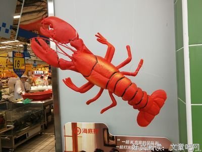 关于张牙舞爪的座右铭