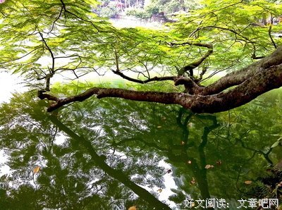 形影不离的名句_关于形影不离的名句