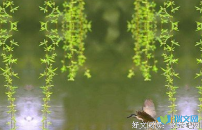 关于原来的句子